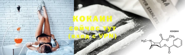 скорость Богданович