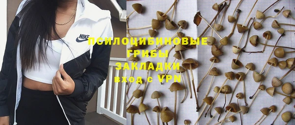 скорость Богданович