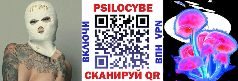 блэк спрут как зайти  Вяземский  Псилоцибиновые грибы Psilocybe 
