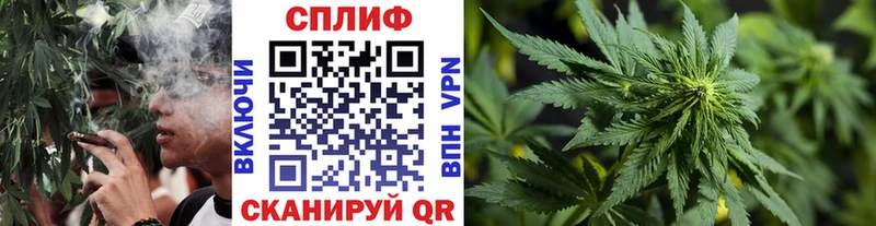 hydra маркетплейс Вяземский Каннабис марихуана наркота
